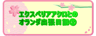 �G�N�X�y���A�A�N���Ƃ� �I�����_�o�����L�A