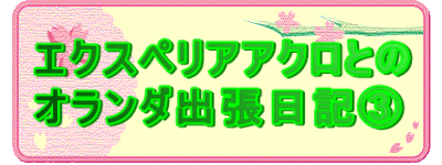 �G�N�X�y���A�A�N���Ƃ� �I�����_�o�����L�B