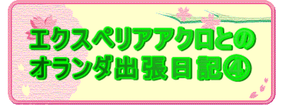 �G�N�X�y���A�A�N���Ƃ� �I�����_�o�����L�C