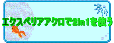 �G�N�X�y���A�A�N����2in1���g��