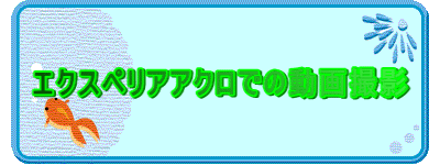 �G�N�X�y���A�A�N���ł̓���B�e