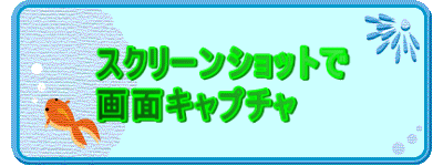 �X�N���[���V���b�g�� ��ʃL���v�`��